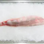 Trasporti a temperatura controllata di merce deperibile: le linee guida