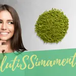 Thè matcha, qual è il suo sapore?