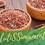 Integratori per il colesterolo (senza mangiare il riso rosso)