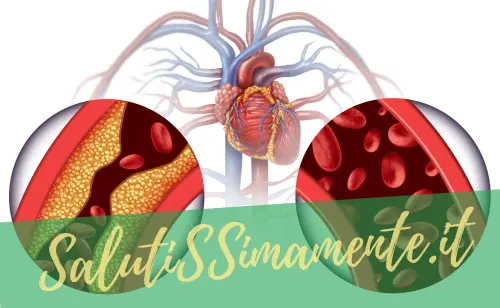 I 5 miglior integratori per il colesterolo