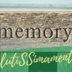 Cosa sono gli integratori per la memoria e la concentrazione?