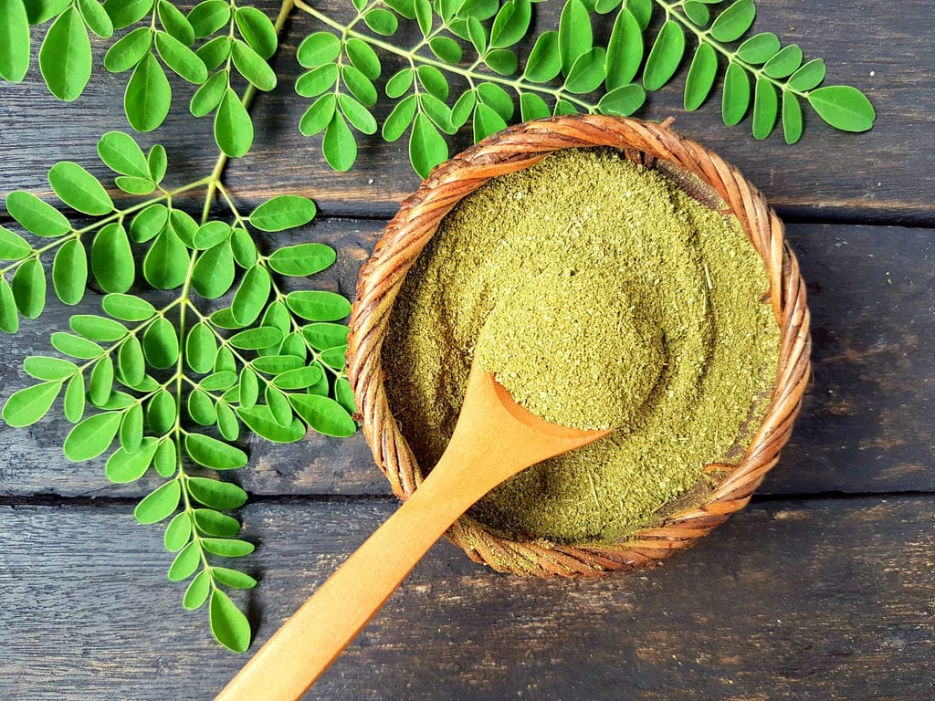Moringa: le “generalità” di una pianta davvero portentosa