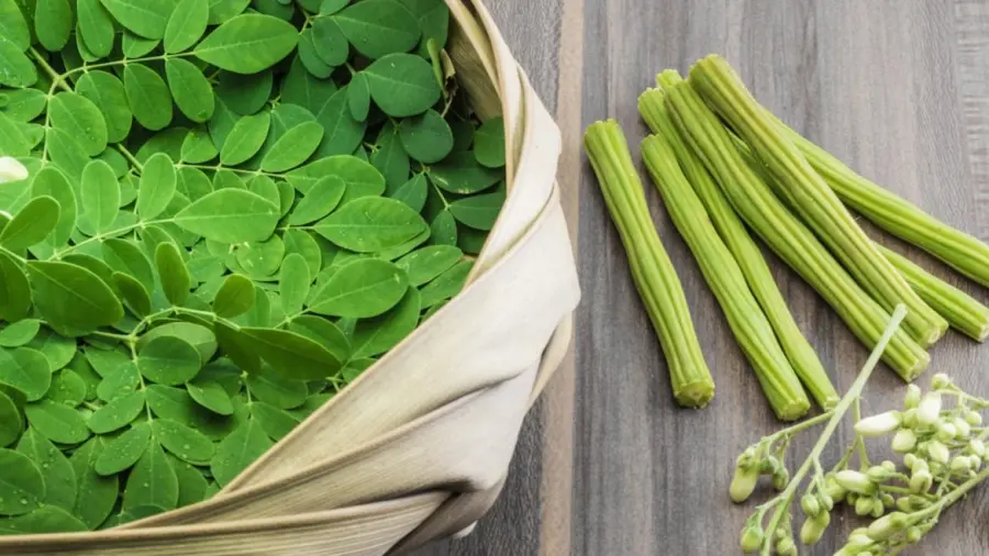Moringa, proprietà e molto altro: c’è tanto da scoprire!
