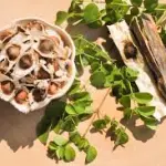 Moringa: pasta e semi… perché sono tutti alimenti utilissimi?
