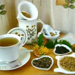 Ecco perché comprare la moringa in erboristeria e online