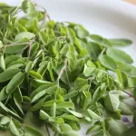 Cos'è la moringa? Rispondiamo a questa domanda!