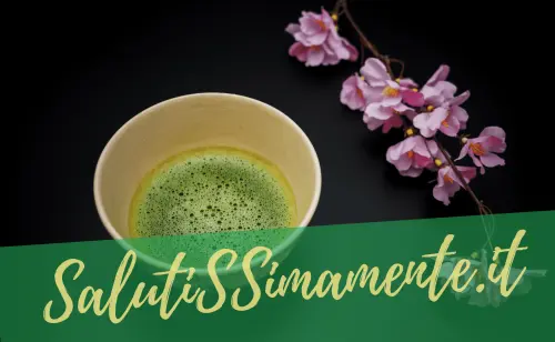Dove comprare il Thé Matcha